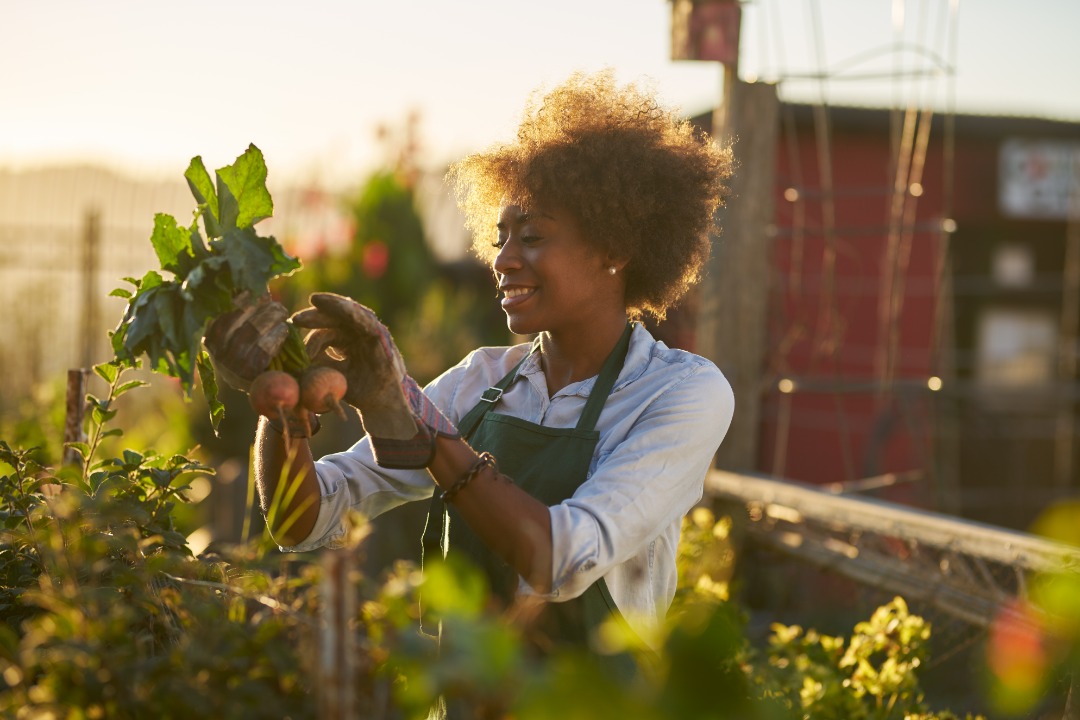 African Women at the Forefront of Agriculture