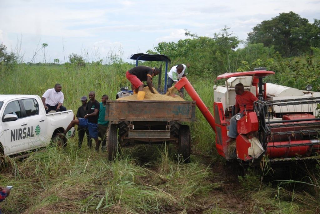 FG set to empower 77,400 young farmers on agric business