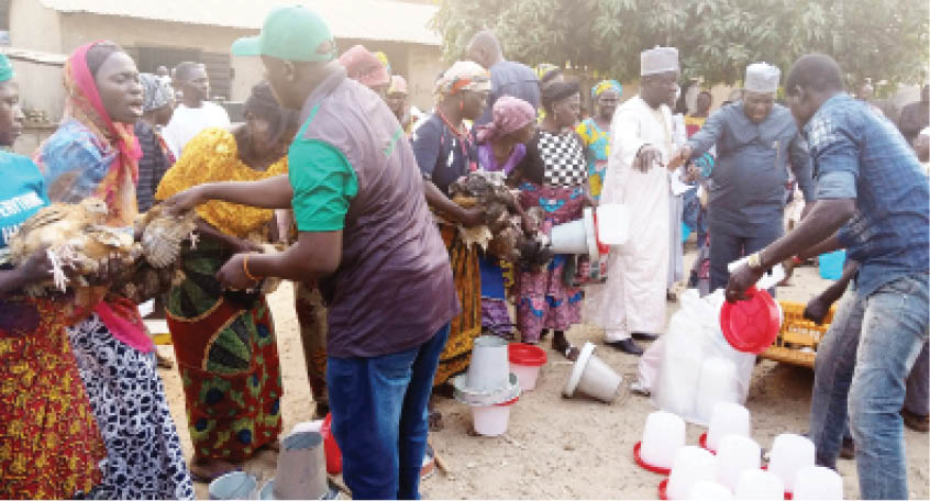 How local fowl farming can lift rural women