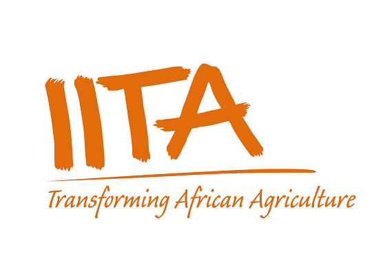 IITA Partners With Nigerian Government To Launch Cassava Processing Plant Targeting Youth