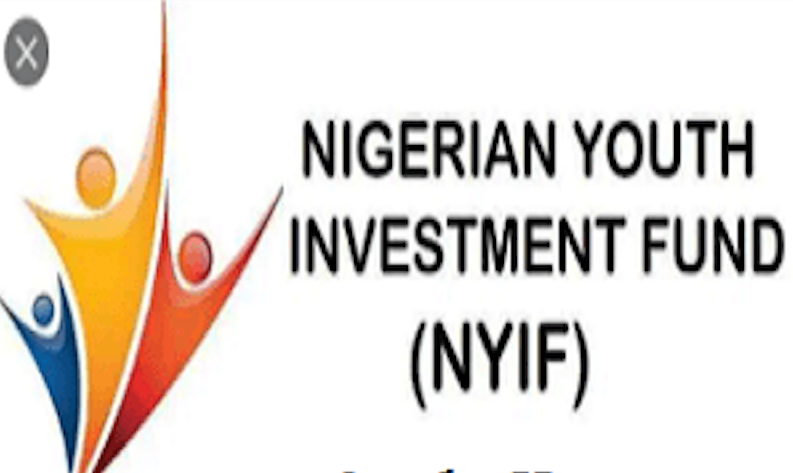 Empowering Nigerians Through National Youth Investment Fund