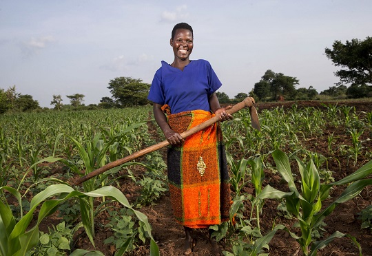 IFAD Provides $900,000 Grant To Support Nigerian Small Scale Farmers