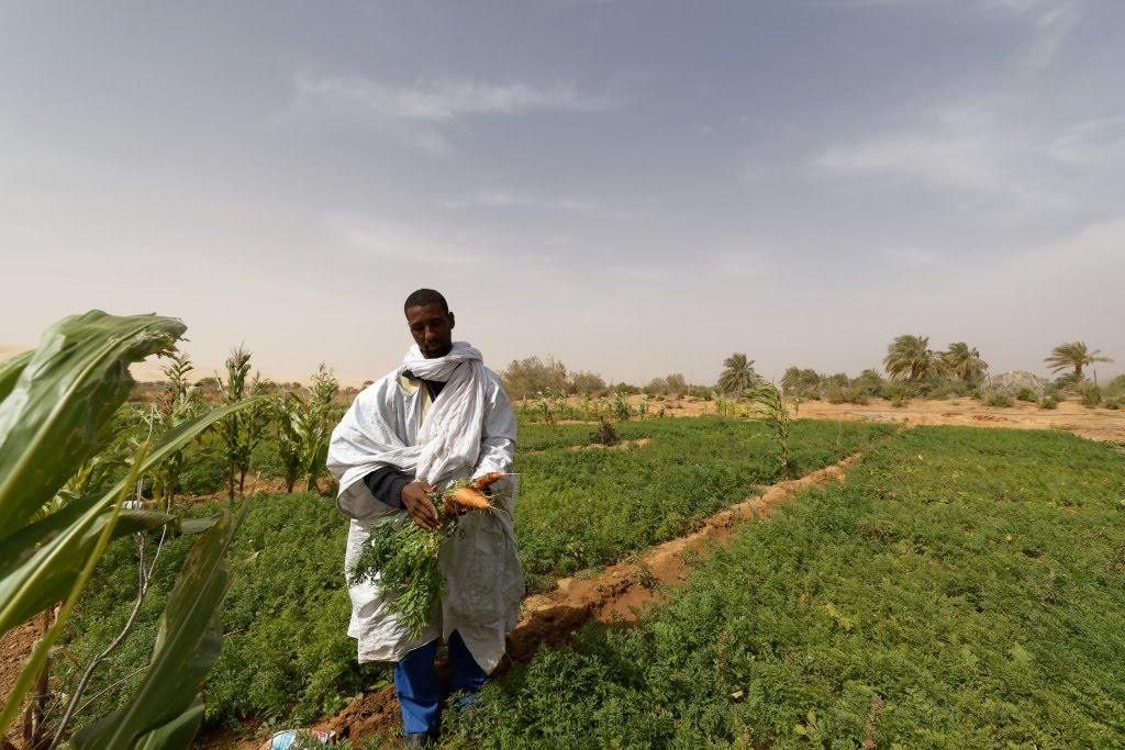 AFRICA: $58m From Acumen For Climate Resilience Of Smallholder Farmers.