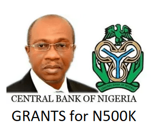 CBN N500k Grants Portal Opens for Graduates, Undergraduates – Apply Now