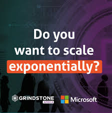 Grindstone/Microsoft Accelerator Program