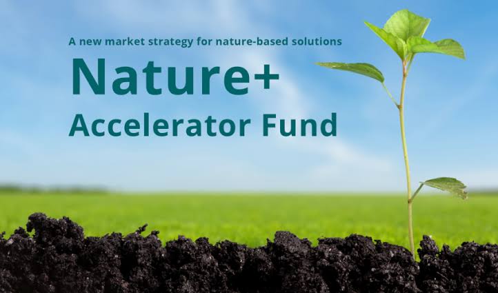 Nature+ Accelerator Fund