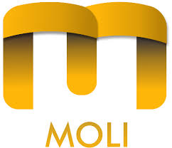 MOLI Ignite Fintech Accelerator