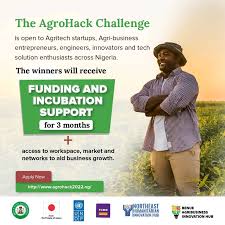 Entries Now Open: UNDP/FCMB AgroHack Challenge 2022 for Agritech Startups